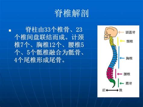 屈曲意思|< 屈曲 : ㄑㄩ ㄑㄩ >辭典檢視